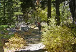 Desolation Wilderness Lake Aloha Backpacking October 2015 032