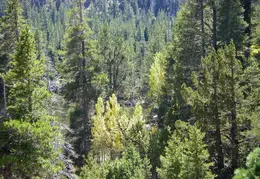 Desolation Wilderness Lake Aloha Backpacking October 2015 033