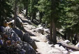 Ebbetts Pass to Carson Pass August 2020 0011