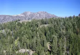 Ebbetts Pass to Carson Pass August 2020 0016