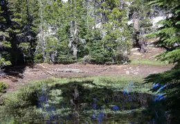 Ebbetts Pass to Carson Pass August 2020 0019
