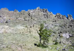 Ebbetts Pass to Carson Pass August 2020 0045