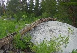 Hilton Lakes Backpacking August 2015 013