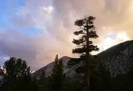 Hilton Lakes Backpacking August 2015 038