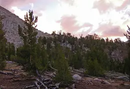 Hilton Lakes Backpacking August 2015 045