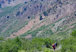 McGee Creek to Rock Creek Backpacking August 2018 013