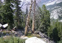 McGee Creek to Rock Creek Backpacking August 2018 033
