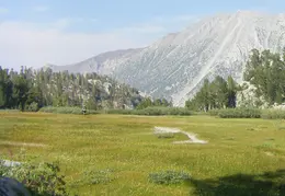 McGee Creek to Rock Creek Backpacking August 2018 036