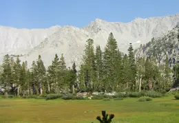 McGee Creek to Rock Creek Backpacking August 2018 038