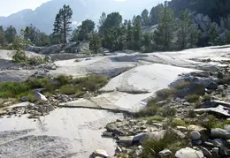 McGee Creek to Rock Creek Backpacking August 2018 041