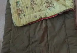 Boy Scout Sleeping Bag