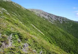 Mt Washington 02