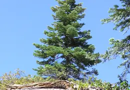 Mt Whitney August 2008 Minus 2 Day