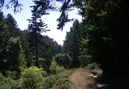Pt Reyes Natl Seashore Backpacking August 2012 015