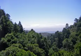 Pt Reyes Natl Seashore Backpacking August 2012 016