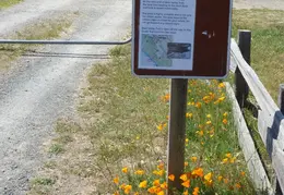 Pt Reyes Natl Seashore Backpacking May 2015 013