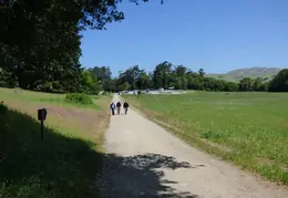 Pt Reyes Natl Seashore Backpacking May 2015 016