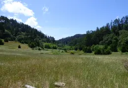 Pt Reyes Natl Seashore Backpacking May 2015 031
