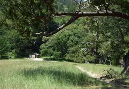 Pt Reyes Natl Seashore Backpacking May 2015 032