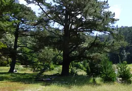 Pt Reyes Natl Seashore Backpacking May 2015 033