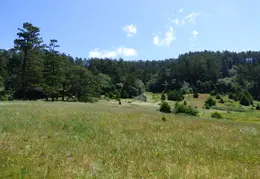 Pt Reyes Natl Seashore Backpacking May 2015 035