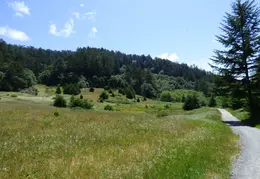 Pt Reyes Natl Seashore Backpacking May 2015 036