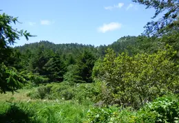 Pt Reyes Natl Seashore Backpacking May 2015 040