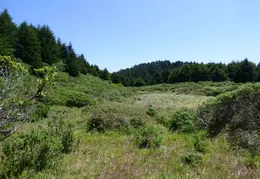Pt Reyes Natl Seashore Backpacking May 2015 041