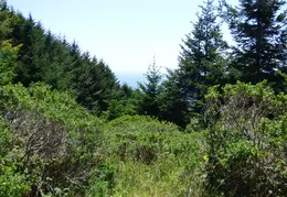 Pt Reyes Natl Seashore Backpacking May 2015 043
