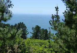 Pt Reyes Natl Seashore Backpacking May 2015 046