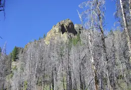 Sawtooth Natl Rec Area Backpack Aug 2011 037