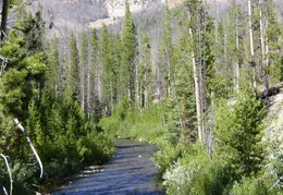 Sawtooth Natl Rec Area Backpack Aug 2011 043