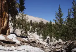 Cottonwood Lakes Aug 2007 042