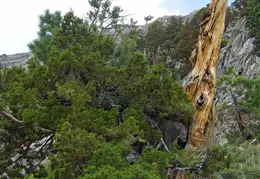 Thousand Islands Lake Backpacking July 2015 030