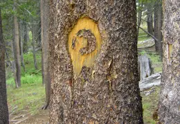 Thousand Islands Lake Backpacking July 2015 040