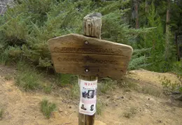 Thousand Islands Lake Backpacking July 2015 042