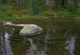 Thousand Islands Lake Backpacking July 2015 045