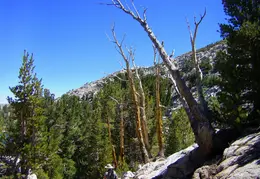 Treasure Lakes Backpacking August 2016