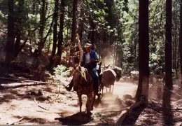 Trinity Alps Backpacking 2003 35