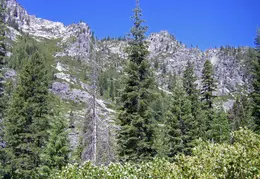 Trinity Alps Canyon Creek June 2013 031