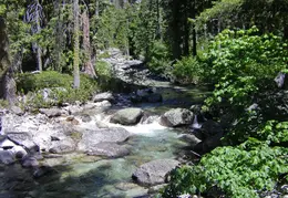 Trinity Alps Canyon Creek June 2013 039