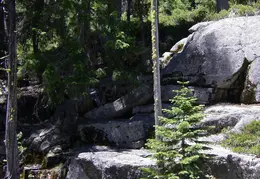 Trinity Alps Canyon Creek June 2013 047
