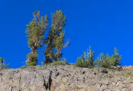 20250721 Lundy Pass Exit via Saddlebag Lake