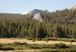 Yosemite North Dome Aug 2007 001