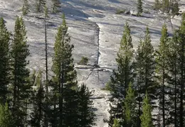 Yosemite North Dome Aug 2007 008
