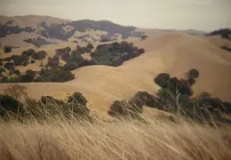 A Day in the Life of Mt Diablo 001