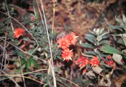 A Day in the Life of Mt Diablo 002