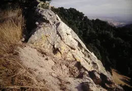 A Day in the Life of Mt Diablo 010