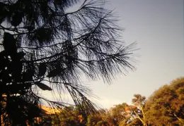 A Day in the Life of Mt Diablo 018