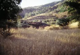 A Day in the Life of Mt Diablo 022